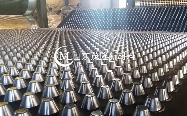 塑料排水板 第2張