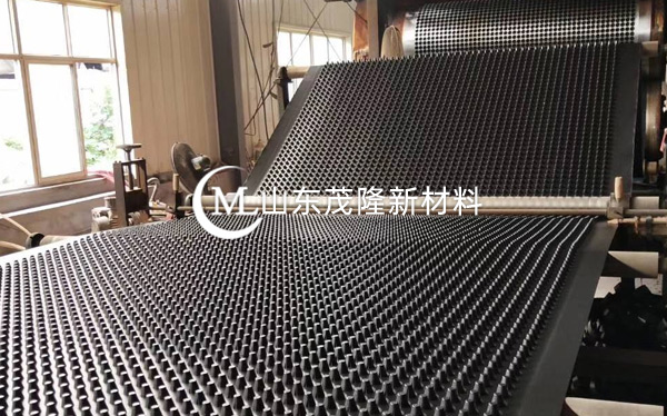 《網(wǎng)盛項目》無紡土工布、凹凸排水板施工