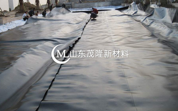 《山東路橋養(yǎng)護(hù)公司》HDPE防滲土工膜施工