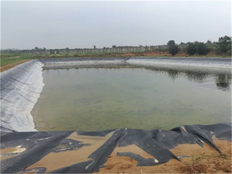 水產黃鱔養殖用什么防滲膜比較好