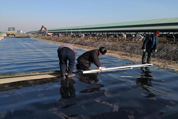 河道防滲中土工膜的作用 第1張
