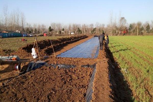 淺藕池使用土工膜成本是多少? 第2張