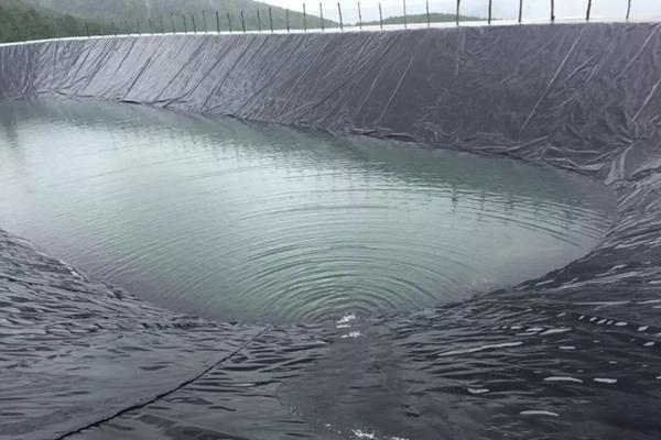 高密度聚乙烯土工膜有什么特點? 第2張