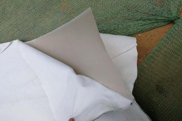 復合土工膜的耐久性防護是什么降解原因及解決方法  第1張