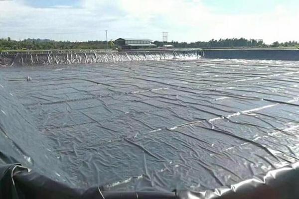 土工膜鋪設(shè)過(guò)程中常見(jiàn)問(wèn)題及解決方法  第3張