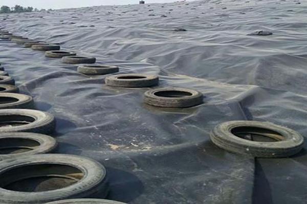 土工膜生產中的吹膜與平擠有何區別? 第3張