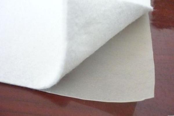 復(fù)合土工膜：未來(lái)市場(chǎng)趨勢(shì)與發(fā)展方向分析  第2張