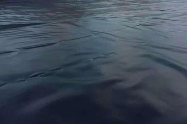 探究土工膜的裁剪性能，了解其特點與優勢  第2張