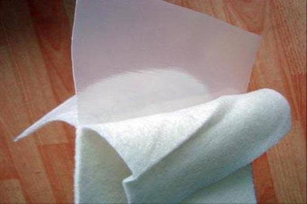 復(fù)合土工膜在渠道防滲、堤壩加固及水庫除險工程中的實際應(yīng)用  第1張