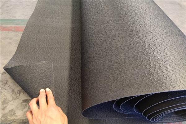 糙面土工膜與生態修復工程結合使用的探討 第3張