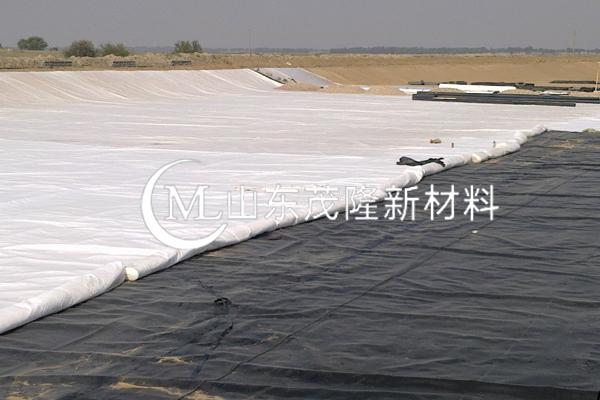 《黎光垃圾填埋場清理搬遷及運(yùn)輸服務(wù)項(xiàng)目》HDPE土工膜