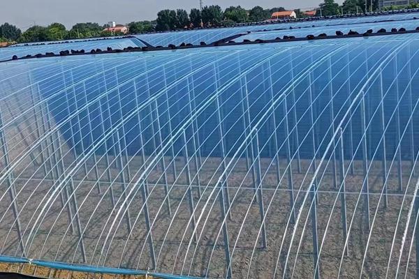 土工膜和大棚膜有什么不一樣  第2張