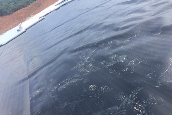 土工膜需要做型式檢測嗎  第2張