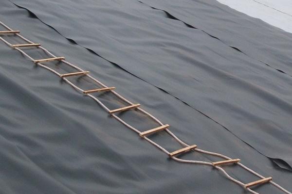 土工膜可以做衛(wèi)生間防水嗎？  第1張