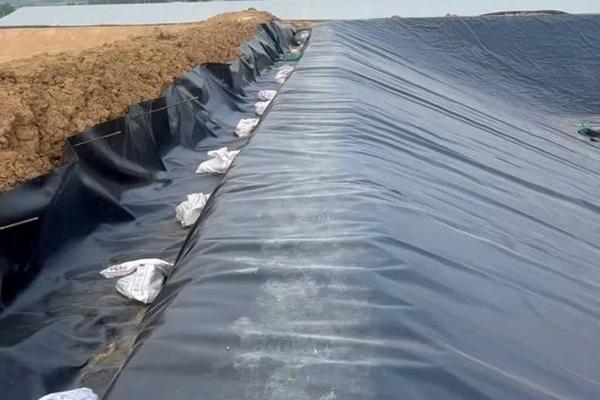 土工膜可以做衛(wèi)生間防水嗎？  第2張