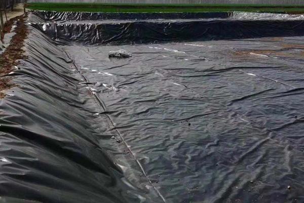 土工膜在護坡工程中的應用  第3張