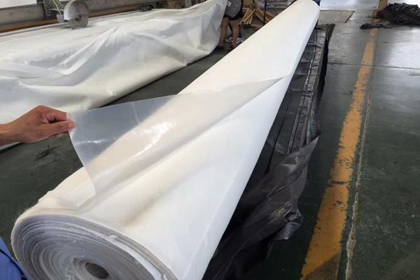 復合土工膜在生態水利工程中的應用  第2張